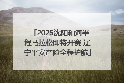 2025沈阳和河半程马拉松即将开赛 辽宁平安产险全程护航